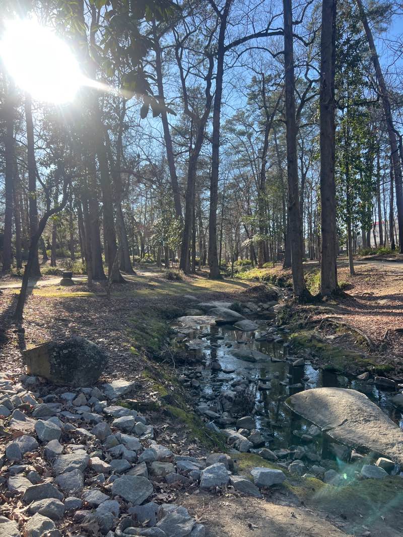 walking near me in Guignard Park in spring