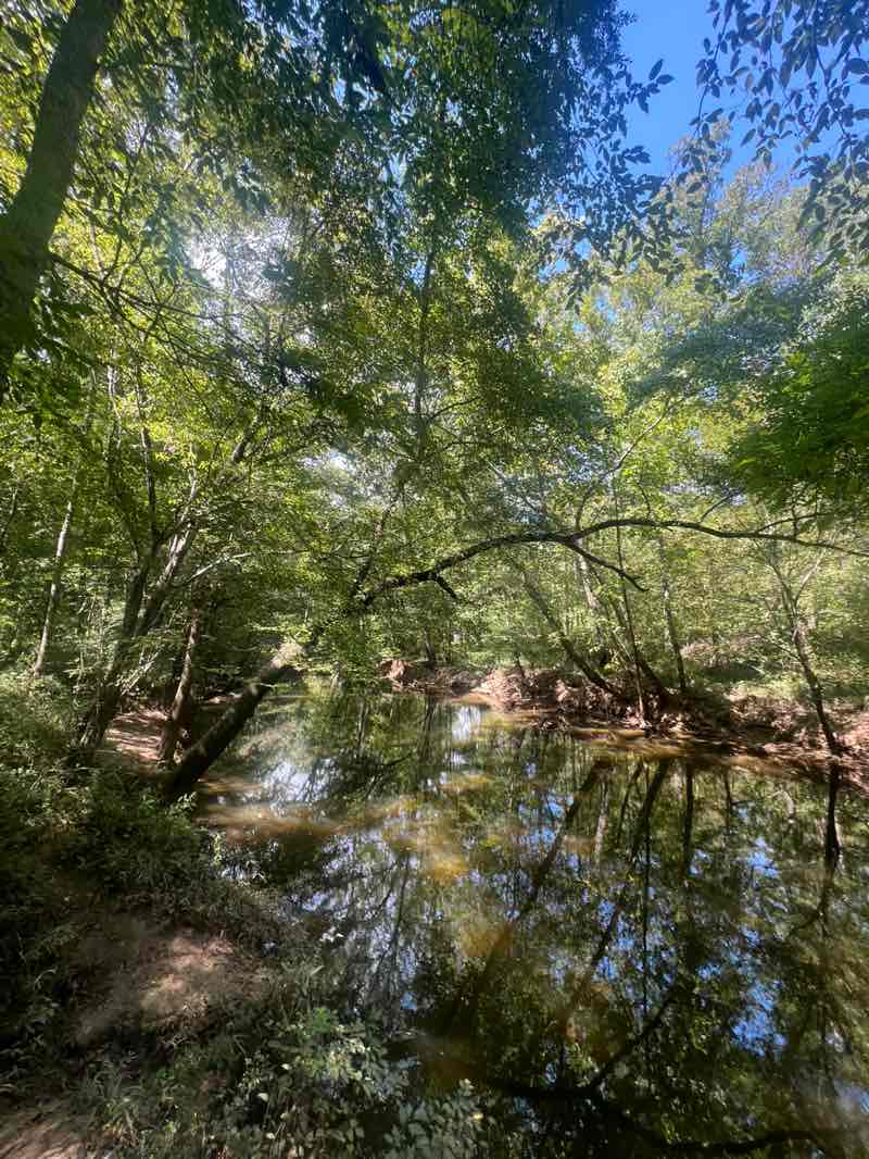 walking near me in Saluda Shoals Park in autumn