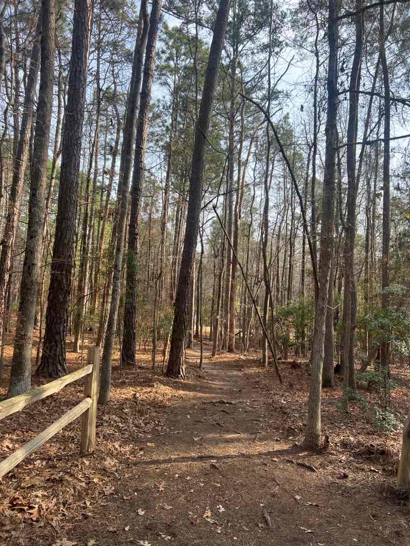 walking near me in Dreher Island State Park in winter