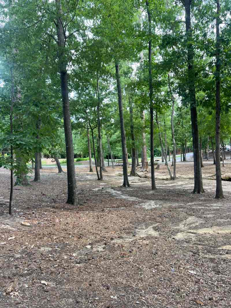 walking near me in Irmo Community Park in summer