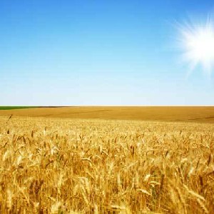 🇺🇦🇵🇱Elena👠