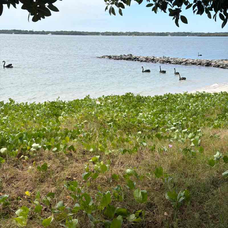 🦘Newberry🇦🇺 Australia Group post 1