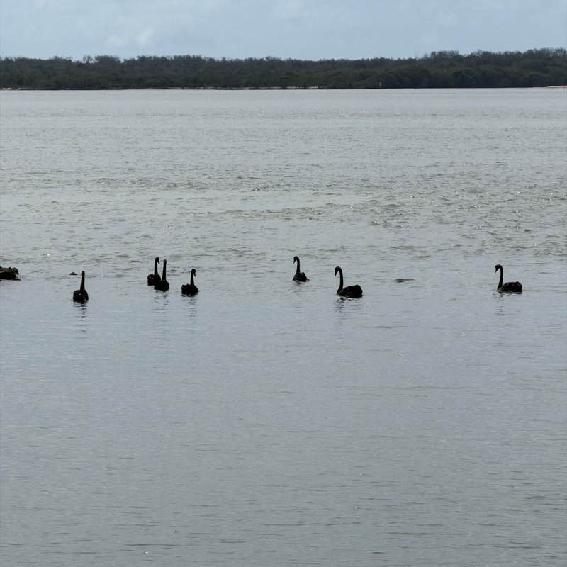 🦘Newberry🇦🇺 Australia Group post 2