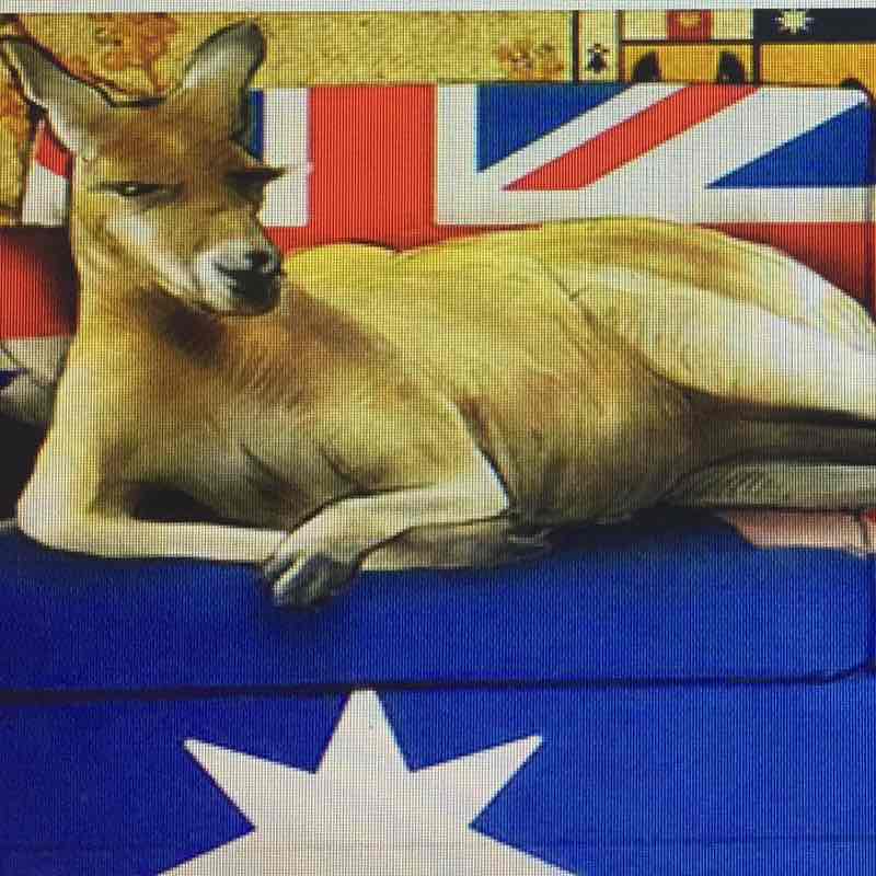 🦘Newberry🇦🇺 Australia Group post 2