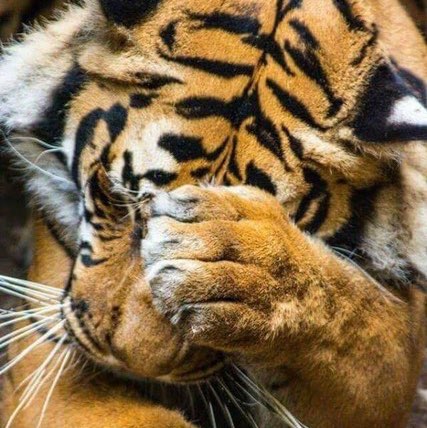 🦘Newberry🇦🇺 Australia Group post 1