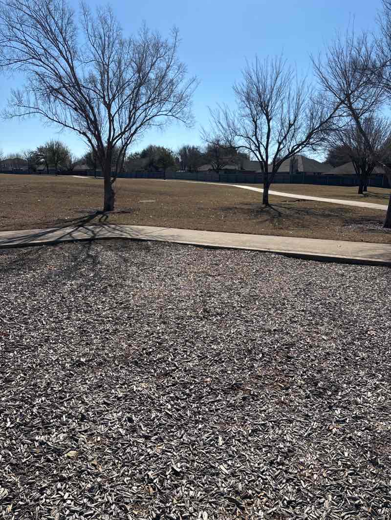 walking near me in High Country Park in winter