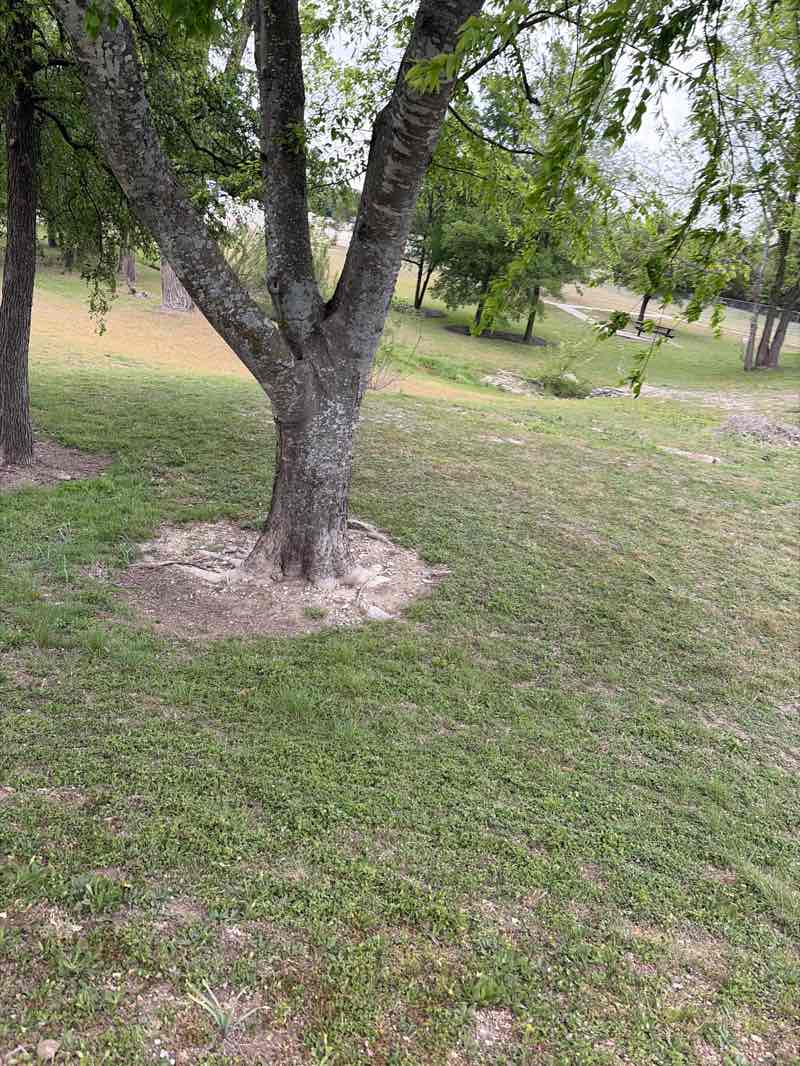 walking near me in Bradford Park in spring