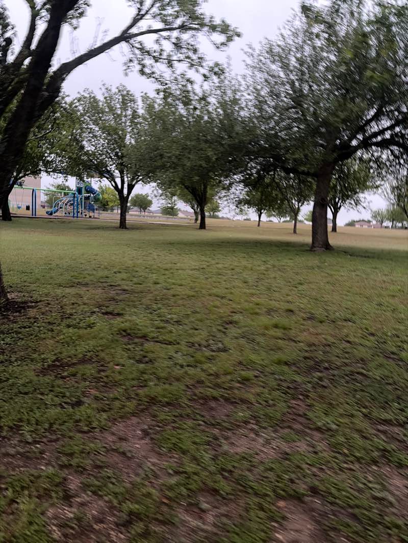 walking near me in High Country Park in spring