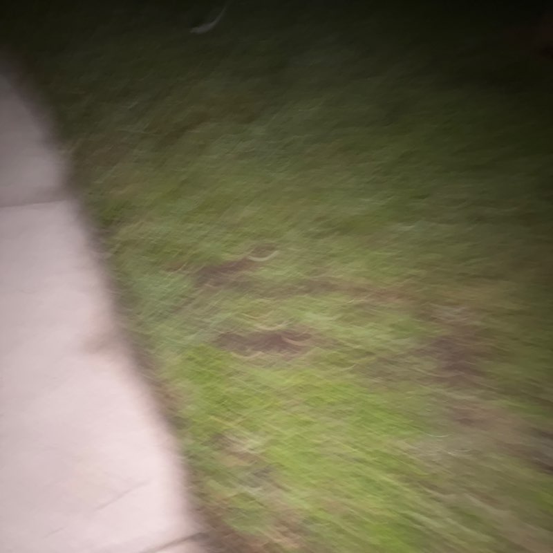 PacerPal post 1