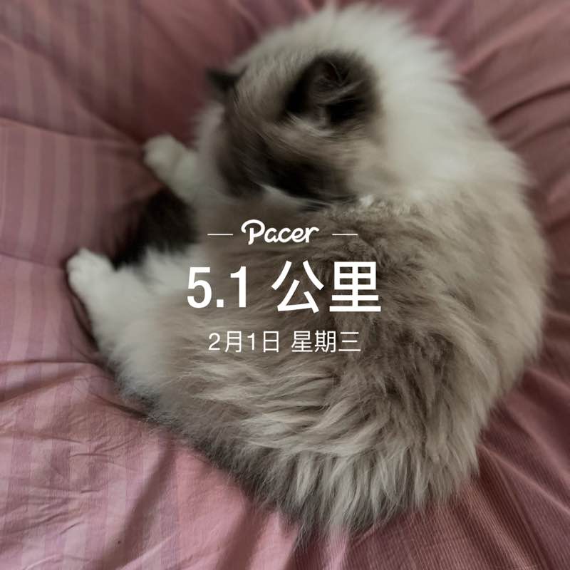 🍃灰塵🌾 post 1