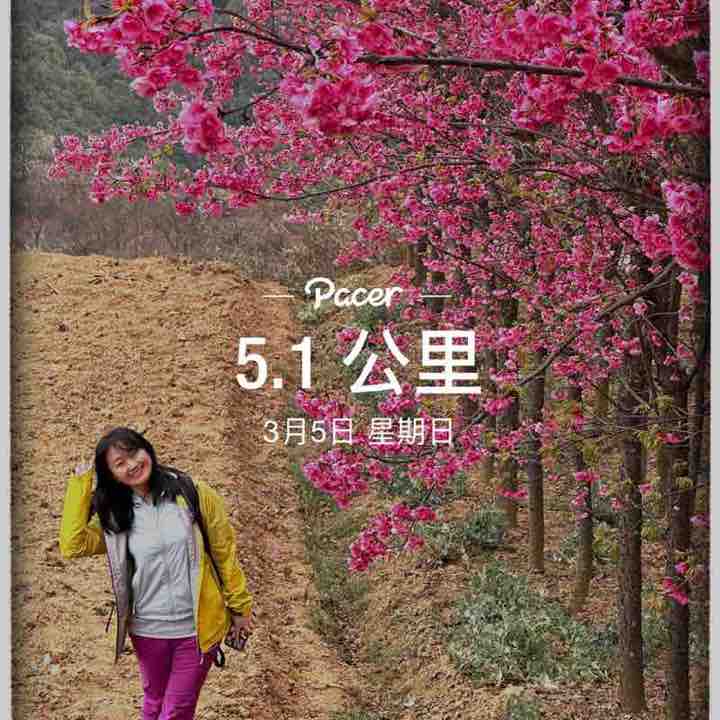 🍃灰塵🌾 post 1