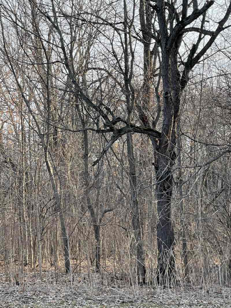 walking near me in Sunset Parkway Park in winter