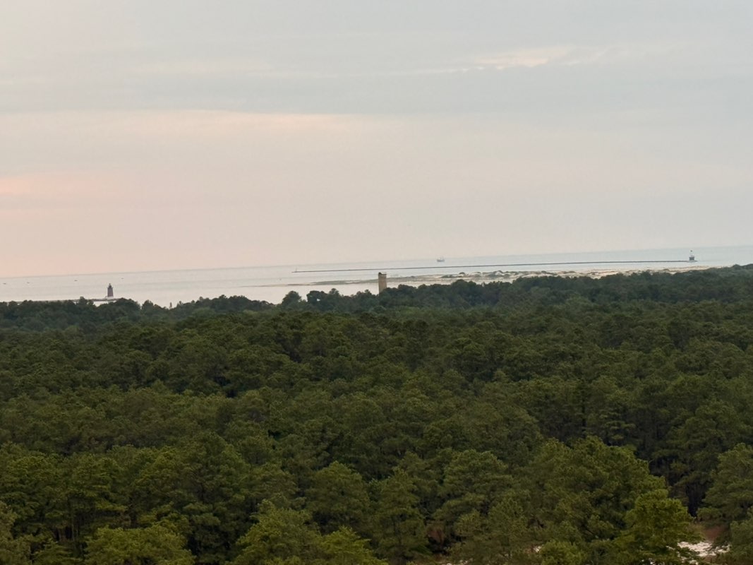 walking near me in Cape Henlopen State Park in summer