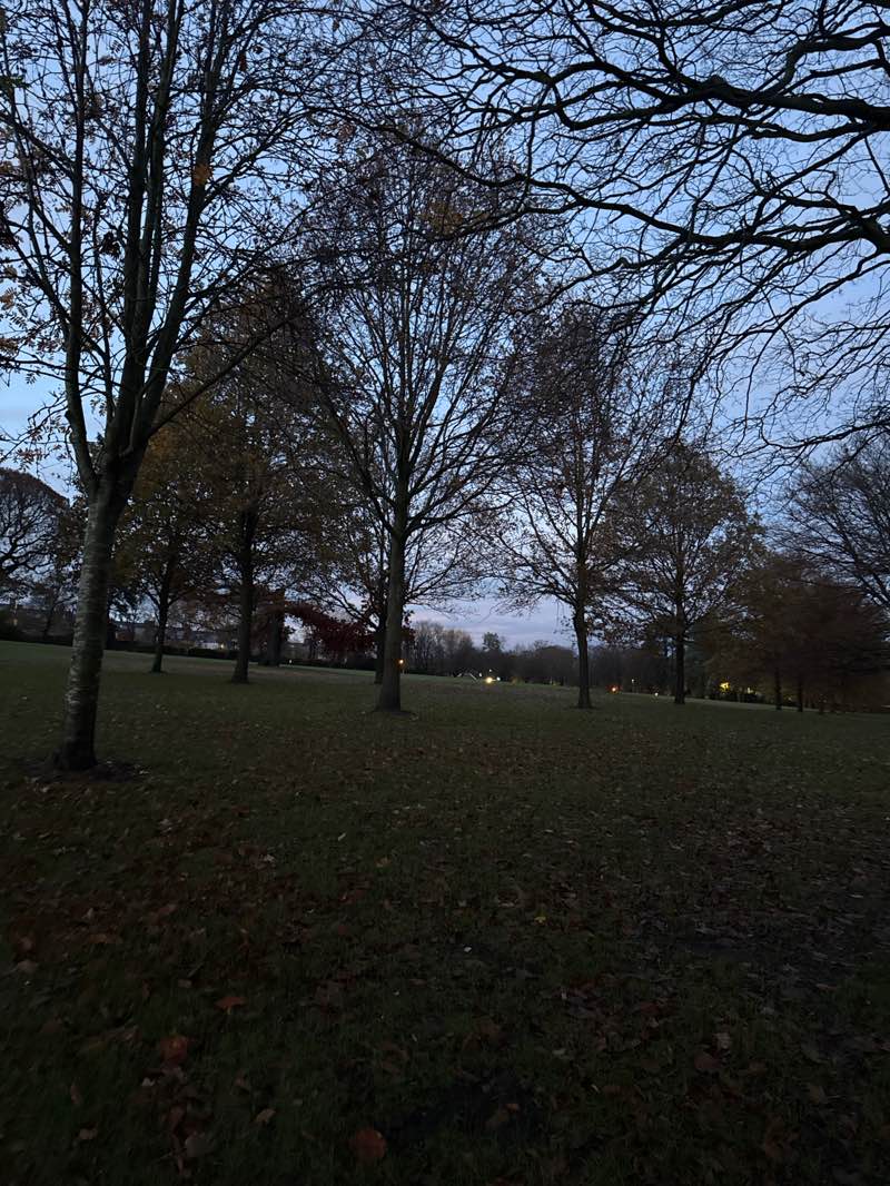 walking near me in Lightwoods Park in autumn