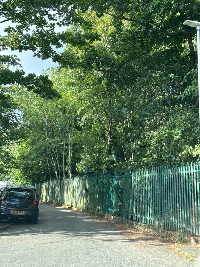 walking near me in Haden Hill Park in summer