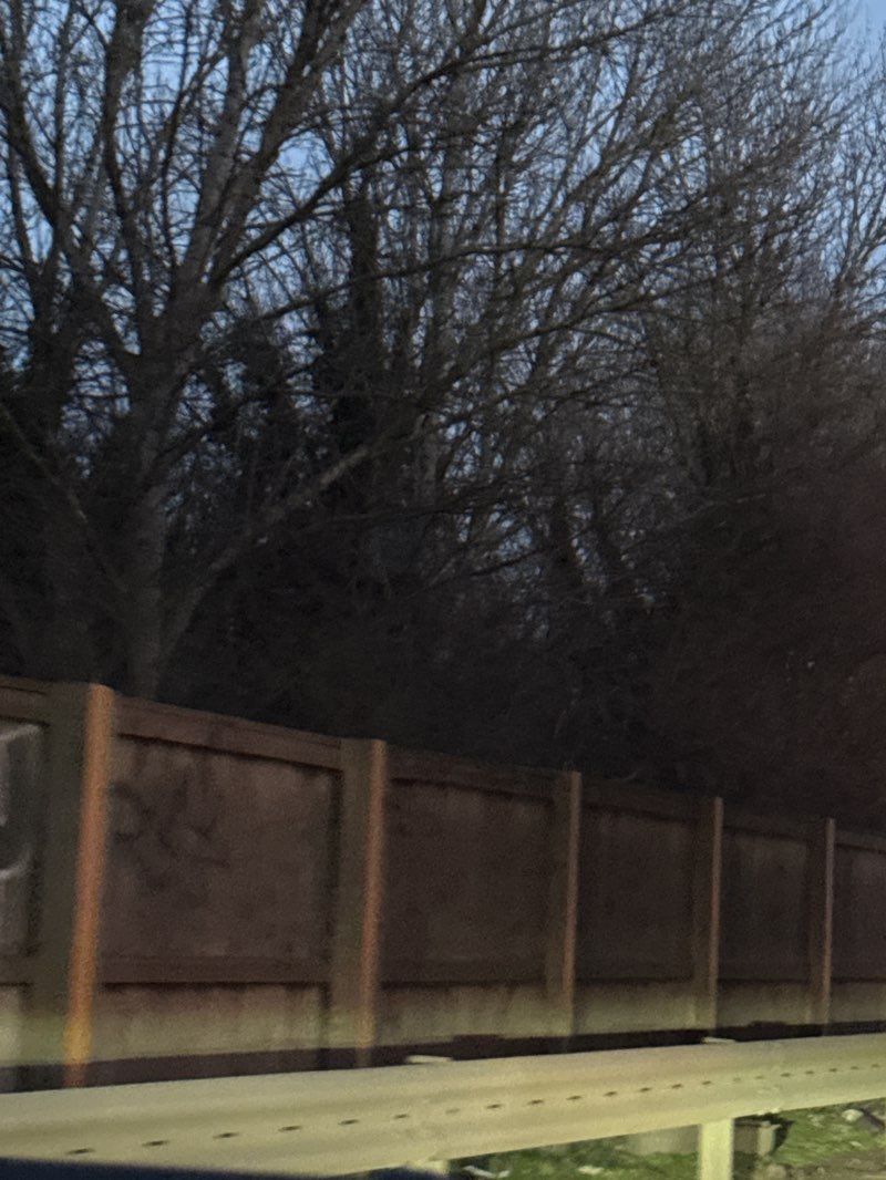 walking near me in Silverdale Park in winter