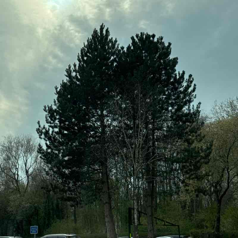 Tony🔥💫🔥 post 1