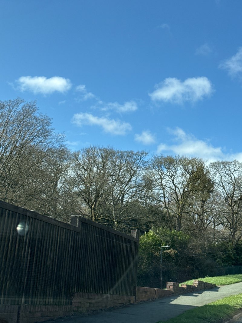 walking near me in Haden Hill Park in spring