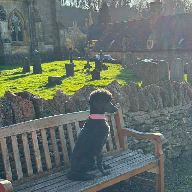 Tony🔥💫🔥 post 3