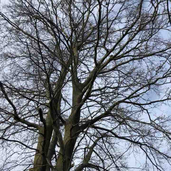 Tony🔥💫🔥 post 3