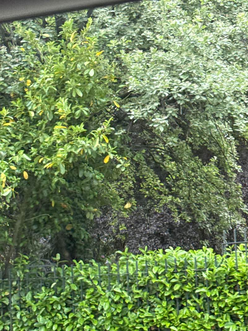 walking near me in Haden Hill Park in summer