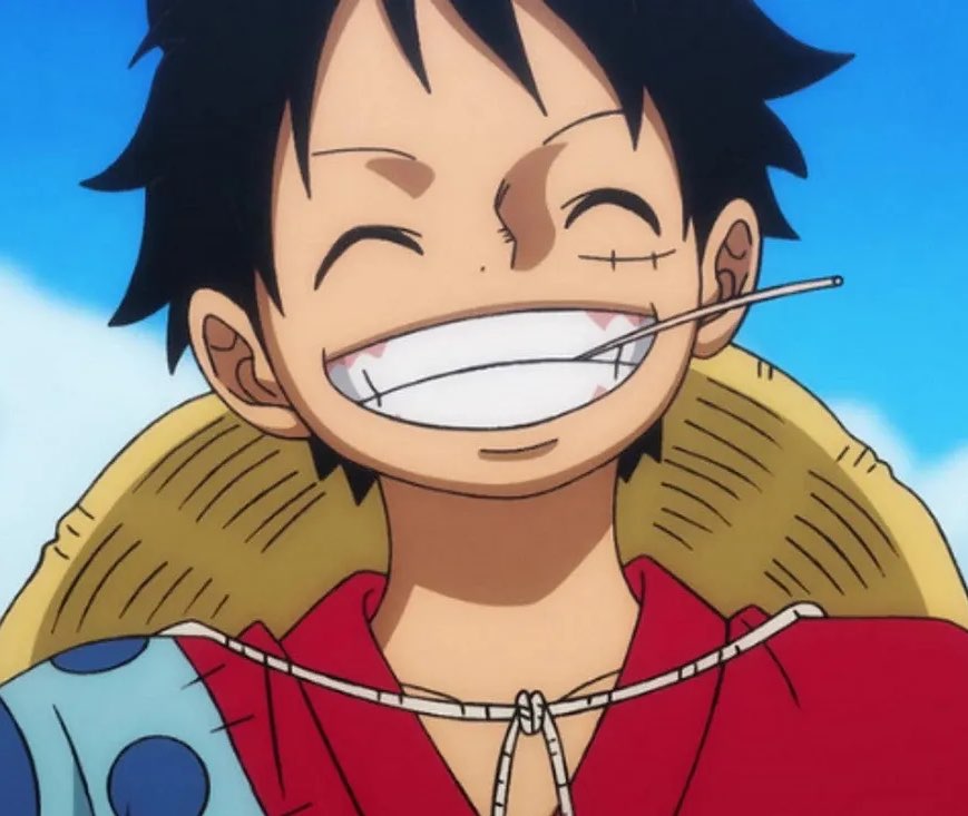 Monkey D. Luffy profile