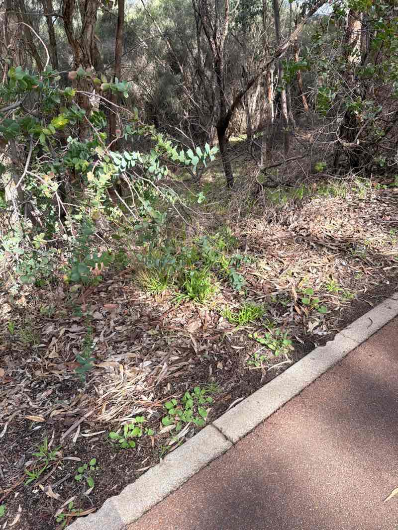 walking near me in Canning River Management Area in winter