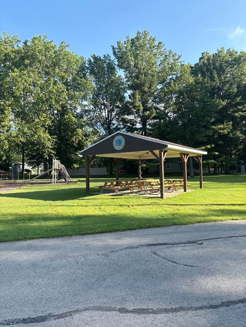 walking near me in Willow Park in summer