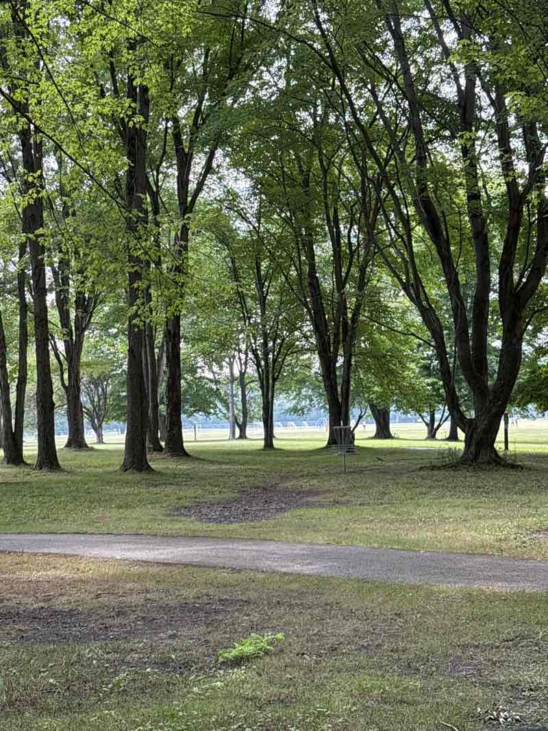 walking near me in Howland Township Park in autumn