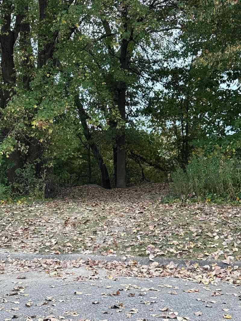 walking near me in SR-305 Recreation Area - USACE in autumn