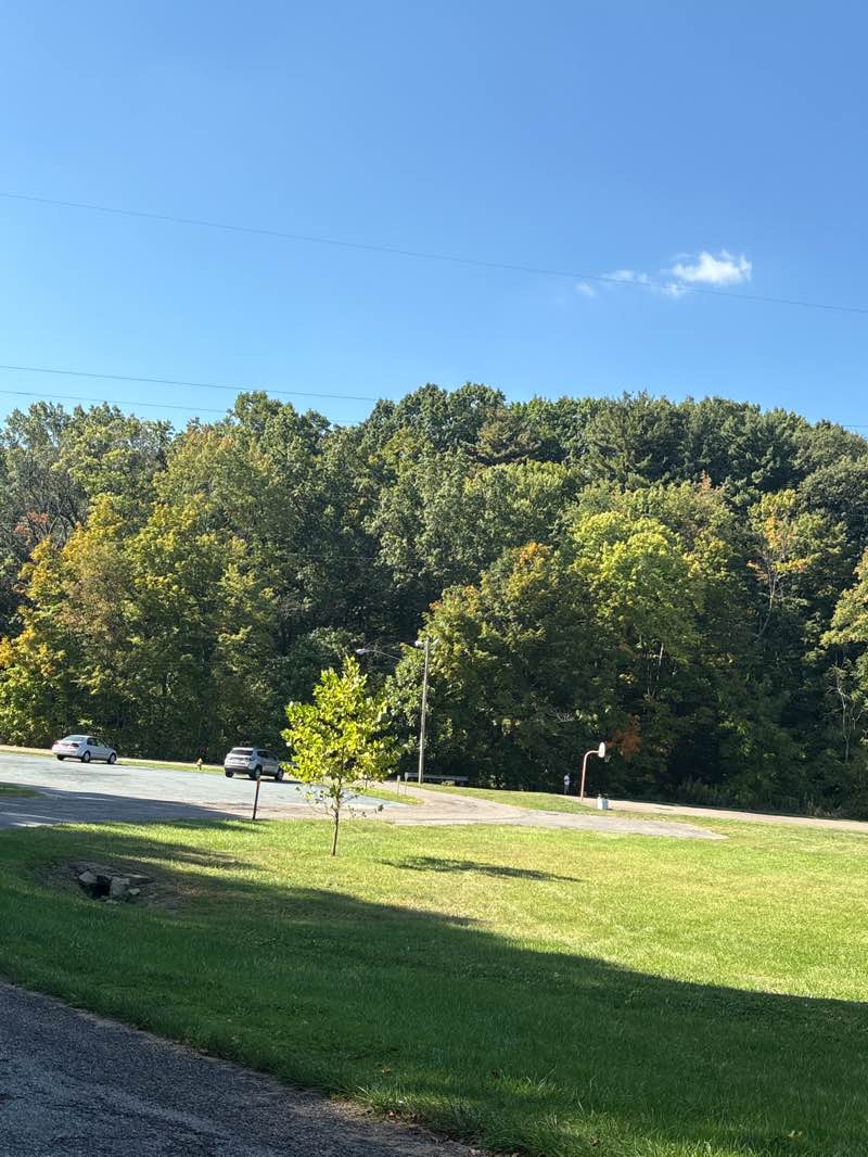 walking near me in Churchill Park in autumn