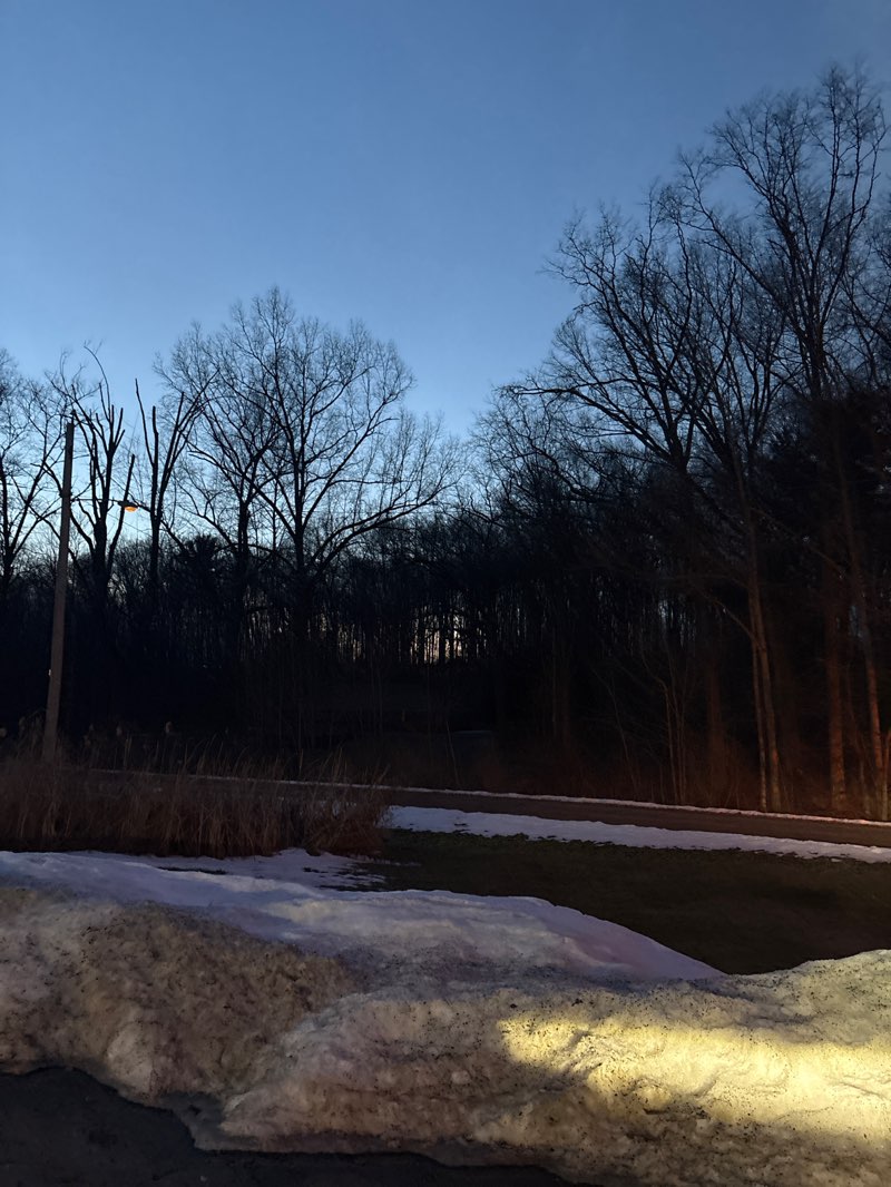 walking near me in Churchill Park in winter