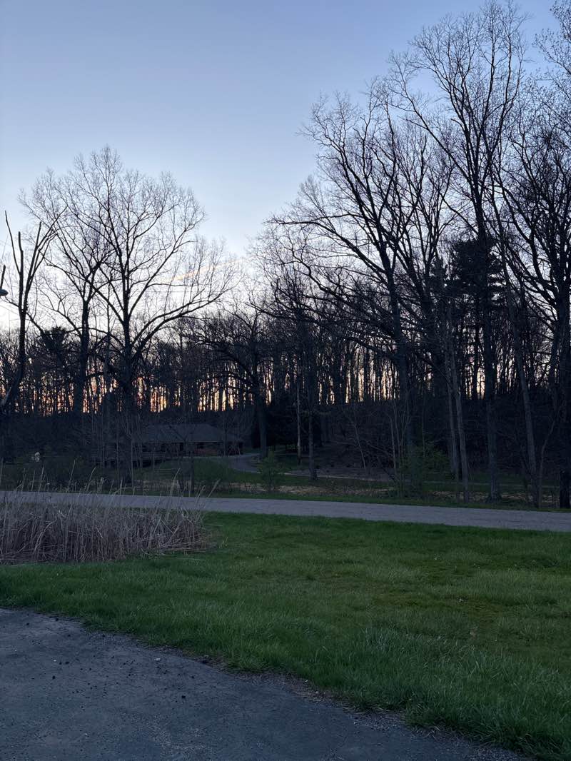 walking near me in Churchill Park in spring