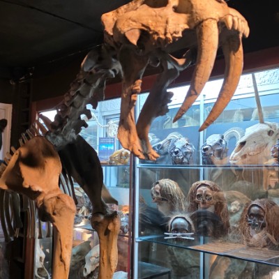 Sallyann 🌻🌝💛 post 1