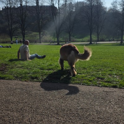 Sallyann 🌻🌝💛 post 3