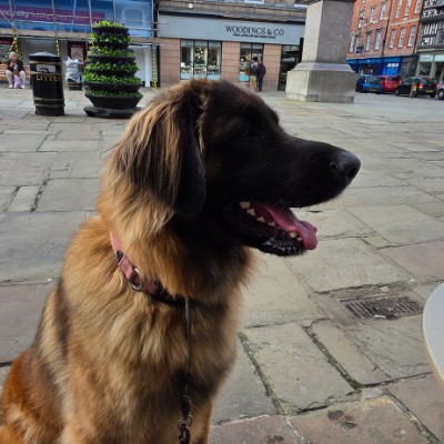 Sallyann 🌻🌝💛 post 1