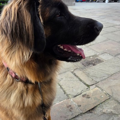 Sallyann 🌻🌝💛 post 3