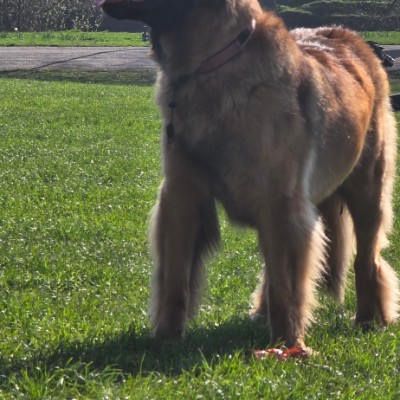 Sallyann 🌻🌝💛 post 1