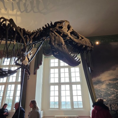 Sallyann 🌻🌝💛 post 3