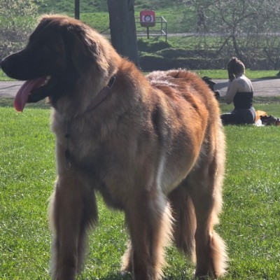 Sallyann 🌻🌝💛 post 2