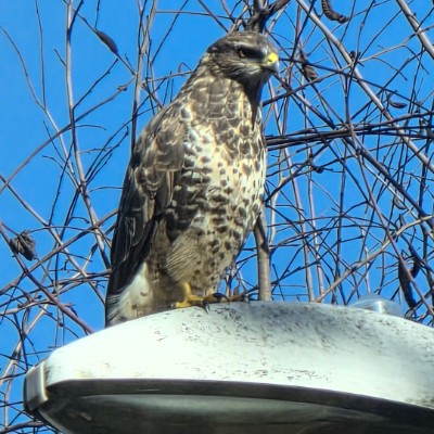 Sallyann 🌻🌝💛 post 2