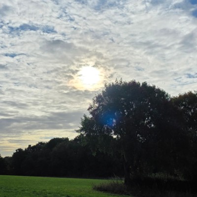 Sallyann 🌻🌝💛 post 3