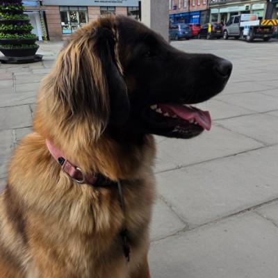 Sallyann 🌻🌝💛 post 2