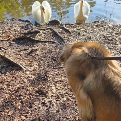 Sallyann 🌻🌝💛 post 2