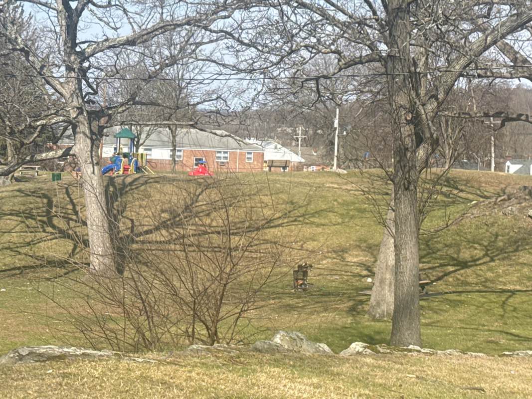walking near me in King Street Park in spring