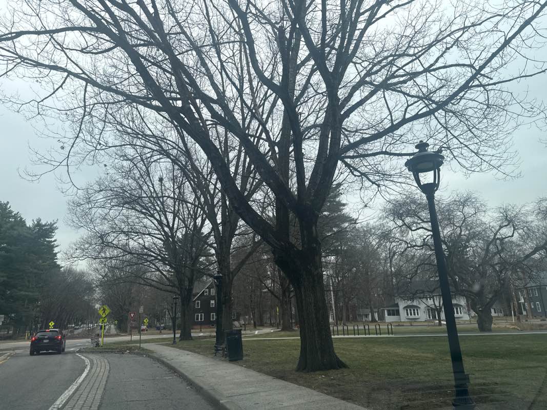 walking near me in Vassar Field in spring