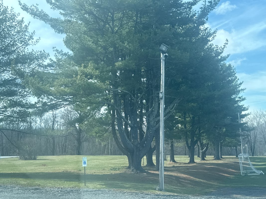 walking near me in Thomas Felten Community Park in spring