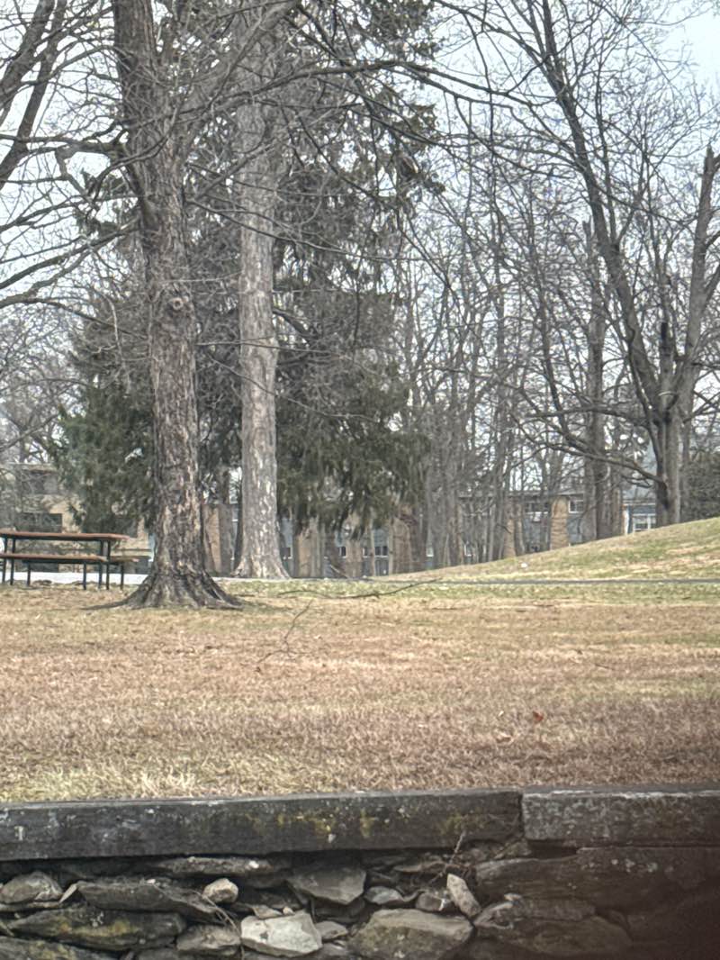 walking near me in Bartlett Park in spring