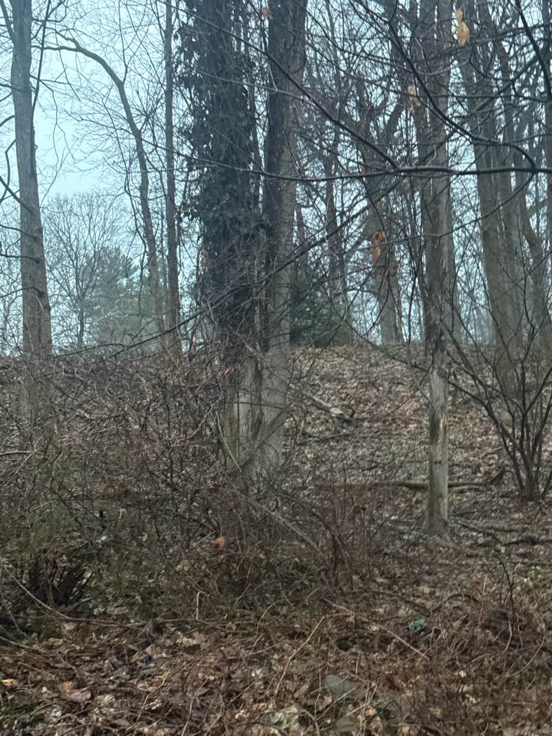 walking near me in Springside in spring