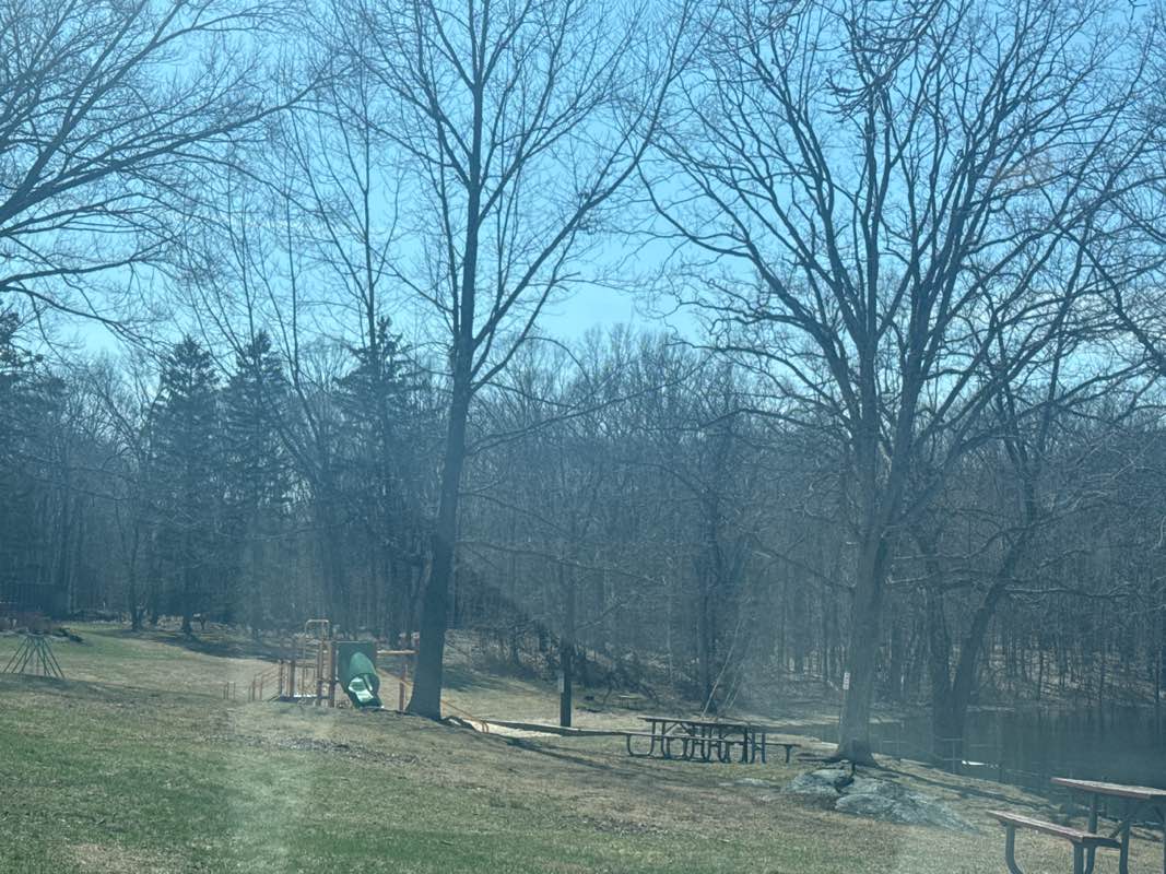 walking near me in Berean Park in spring